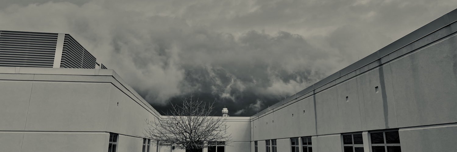 Taleahmiller's profile banner image