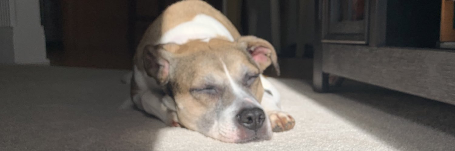 LeahAnne13's profile banner image