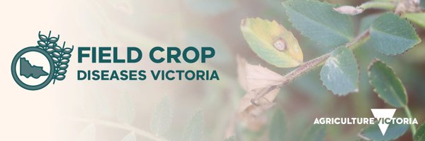 Field Crop Diseases Victoria Profile Banner