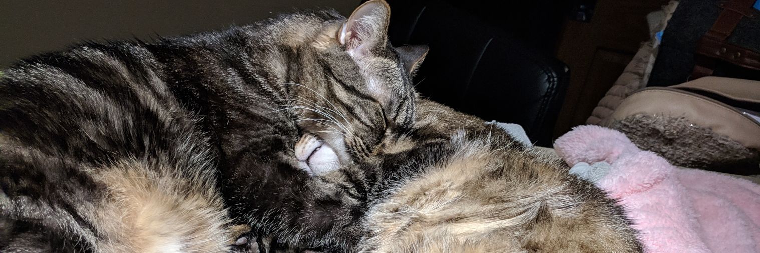 Adrienne Henley banner