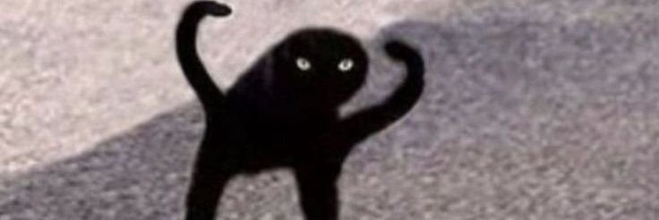 pringl3s_'s profile banner image