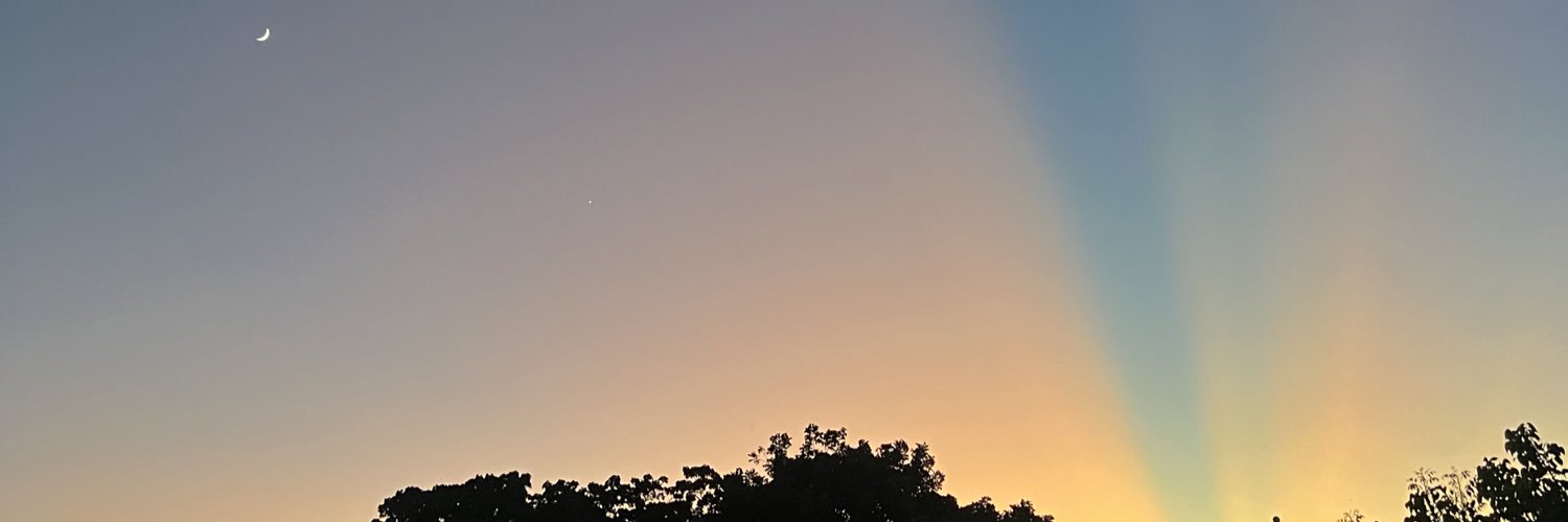 AlexArmandoMM's profile banner image