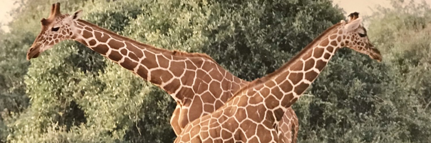 cosquillas 🌺 banner