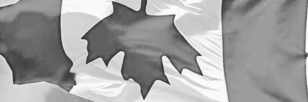 🏴‍☠️ ☠️Phil ☠️🏴‍☠️ banner