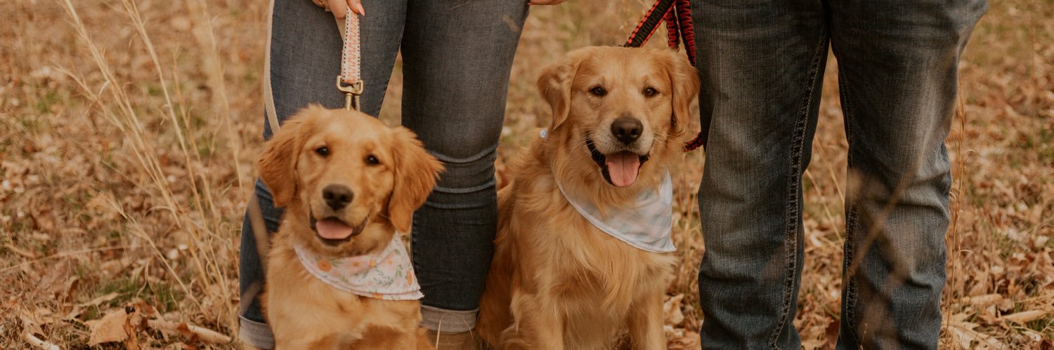 zoeabney's profile banner image