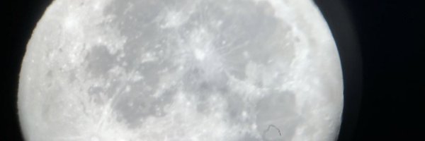 AlisonGulbis Profile Banner