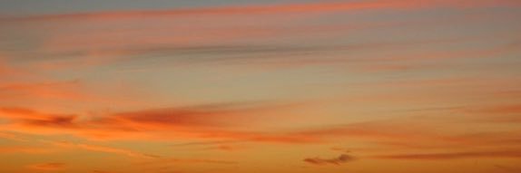 MTVlibrary's profile banner image