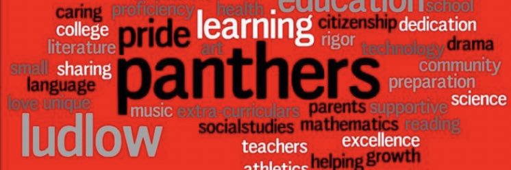 Tonya Brummer banner