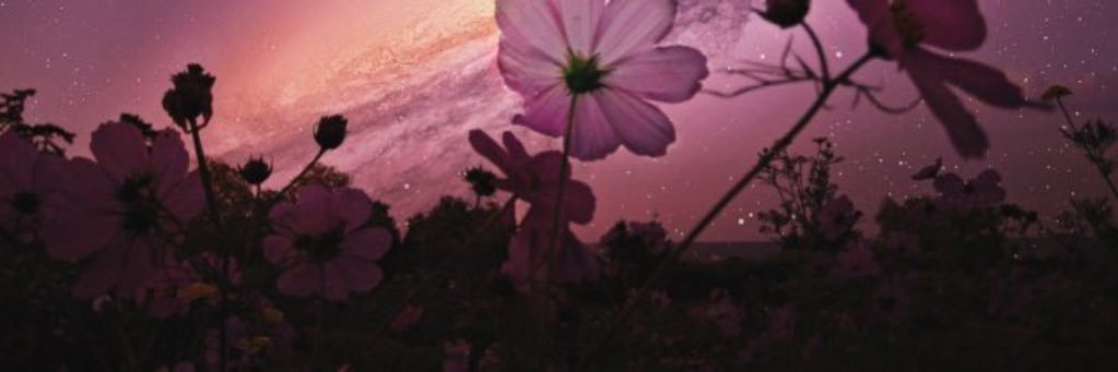 hyperIonely's profile banner image