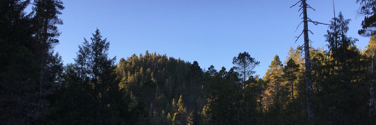 joerugola's profile banner image