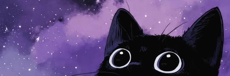 IVSA_17's profile banner image