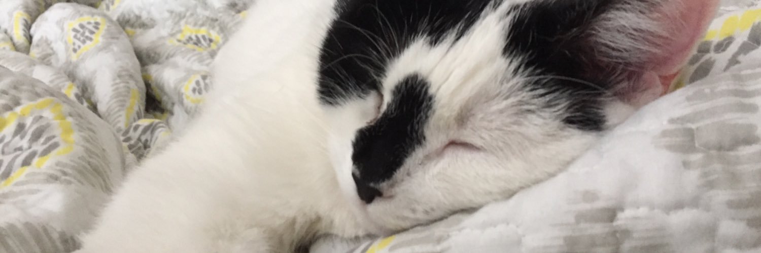 loveofchanel's profile banner image