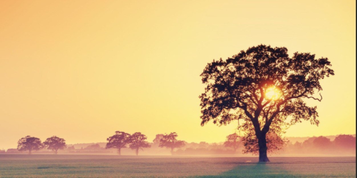 Audiencekind's profile banner image