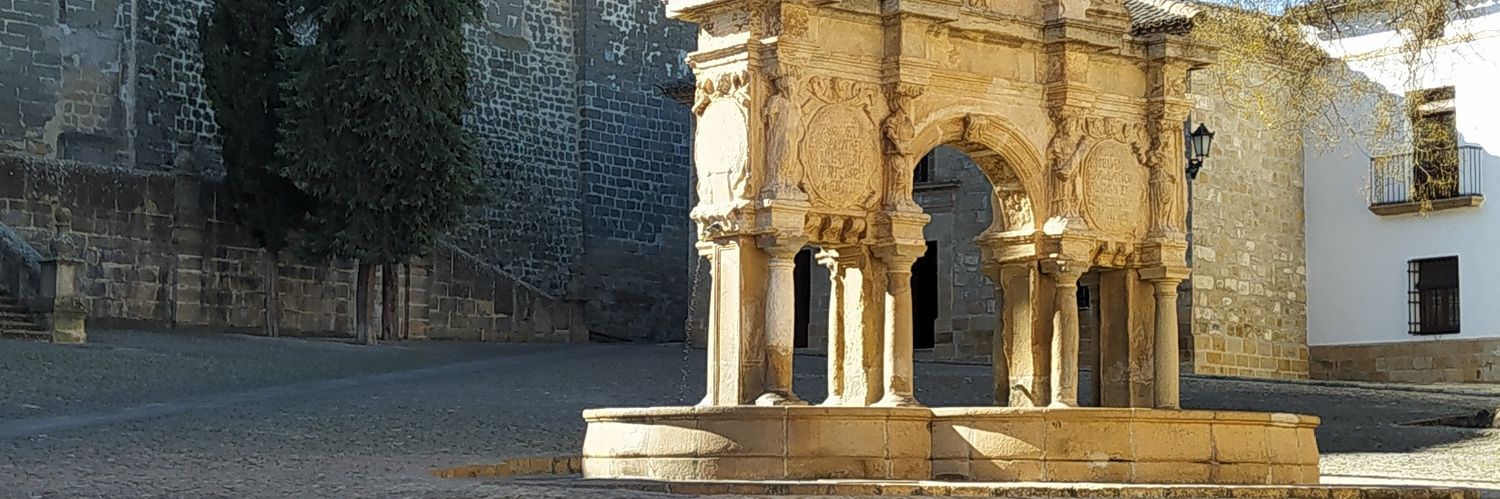 MartaDonadei's profile banner image