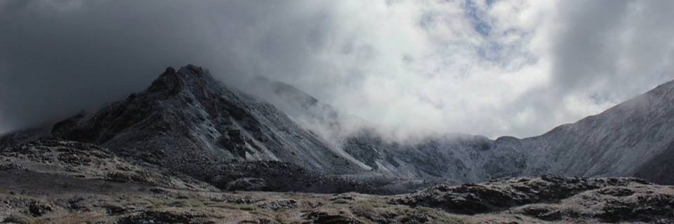 COCommRights's profile banner image