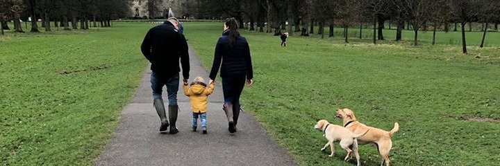 David Dunwell banner