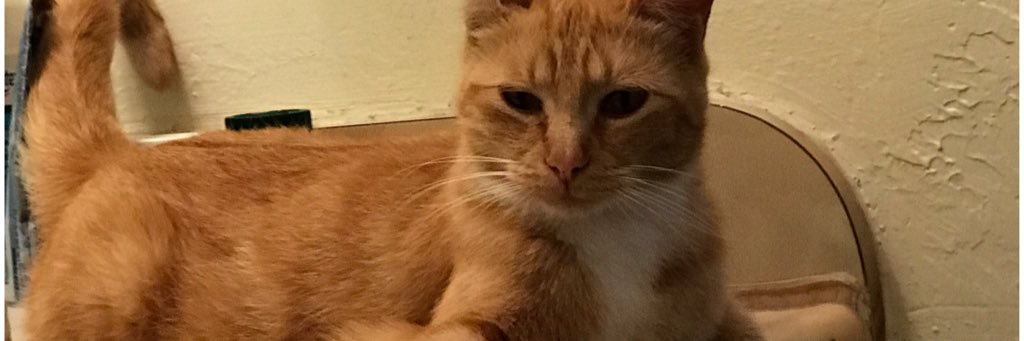 defay_defay's profile banner image