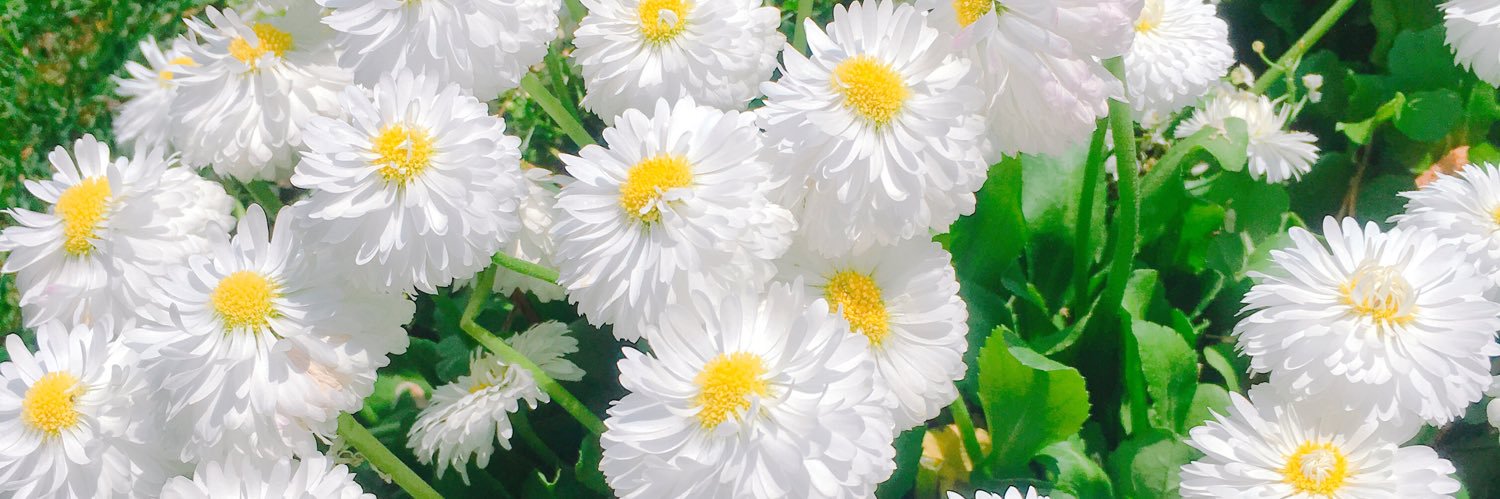 otwmb_mm's profile banner image