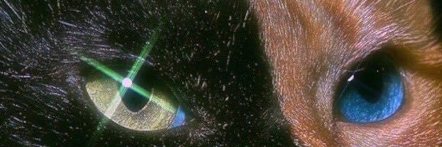 ☠Fischer☠ banner
