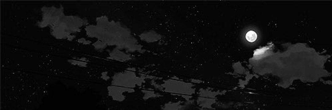 kimlun6's profile banner image