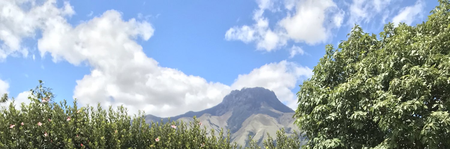 anyzulay's profile banner image