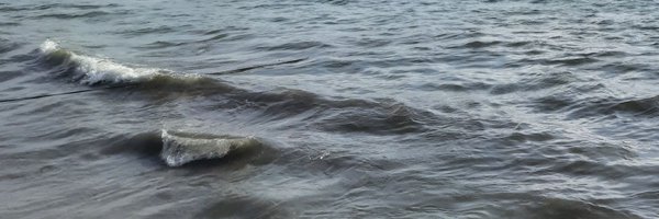 iscikalsky Profile Banner