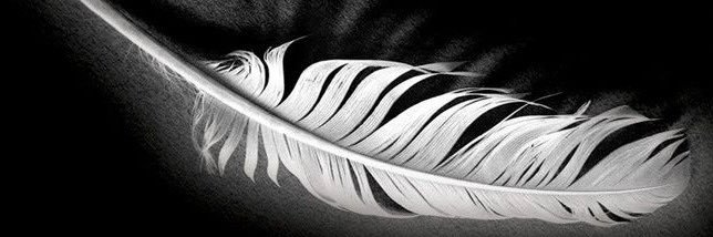 CriminalStylist's profile banner image