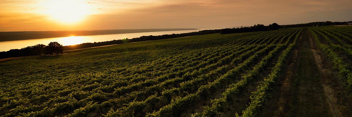 Seneca Lake Wine banner