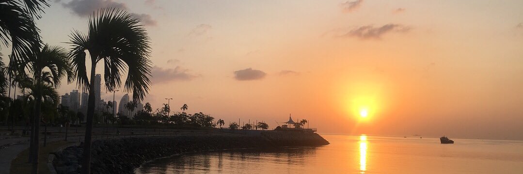 Nicole Marie Roberts banner