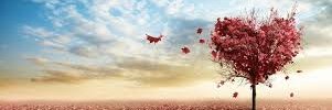 ps39547's profile banner image