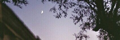 Dorimi_arctic's profile banner image