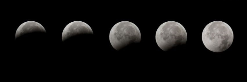 Ale__Petry's profile banner image