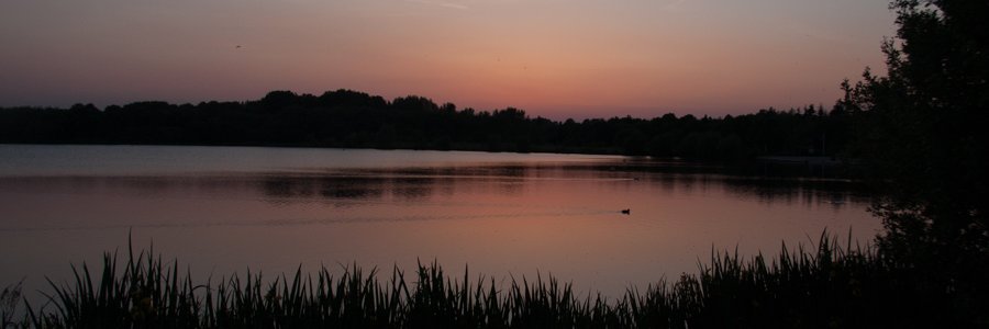 HandsworthPhoto's profile banner image