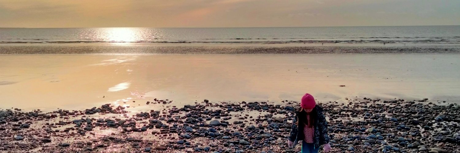 Non Gwenhwyfar banner