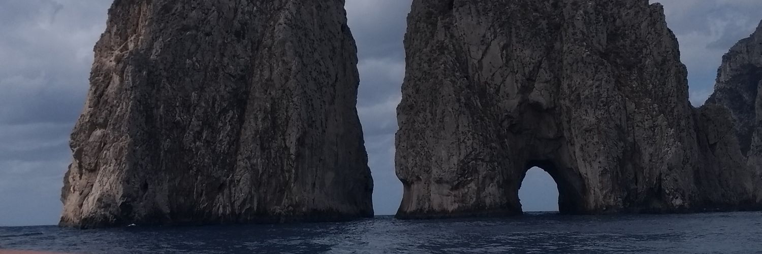 marselleburilli's profile banner image