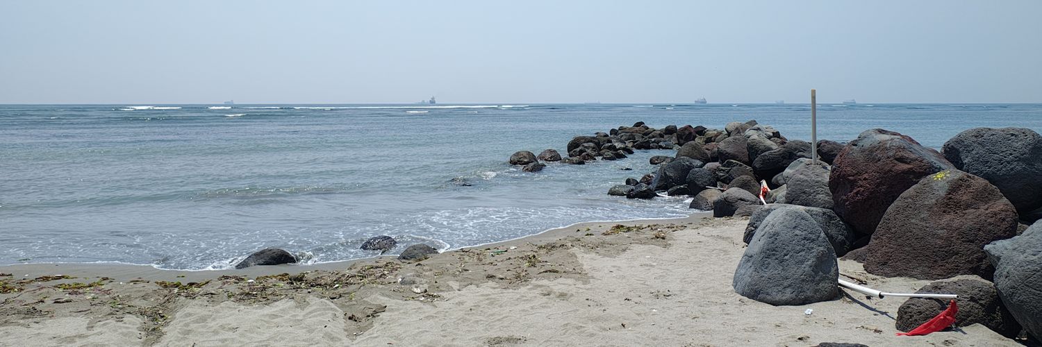 ᴀʟᴇᴊᴀɴᴅʀᴏ ꜱᴀɴᴄʜᴇᴢ-ꜰʟᴏʀᴇꜱ 🧬👨🏽‍💻 banner