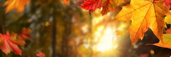 DanThrelkeld Profile Banner