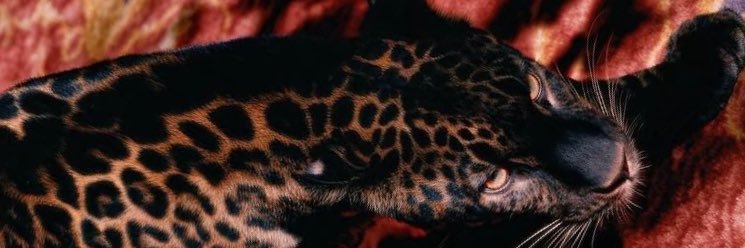YoungEb_'s profile banner image