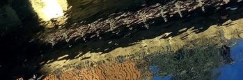 mandara_g's profile banner image