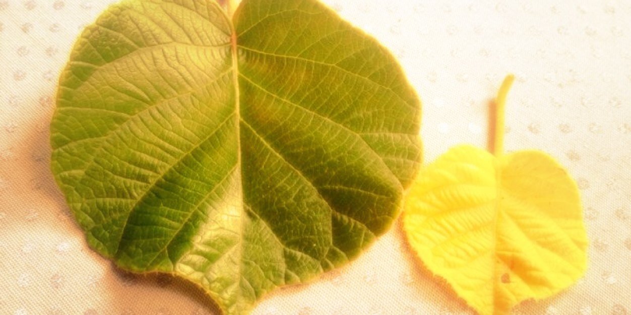 MichaelandCaja's profile banner image