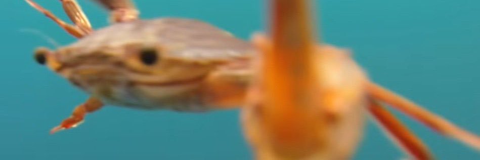 caitlinckm24's profile banner image