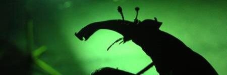 monster7_com's profile banner image