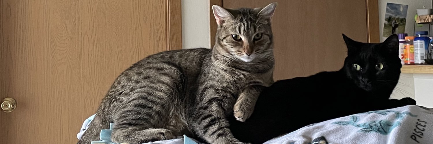 nancyrle's profile banner image