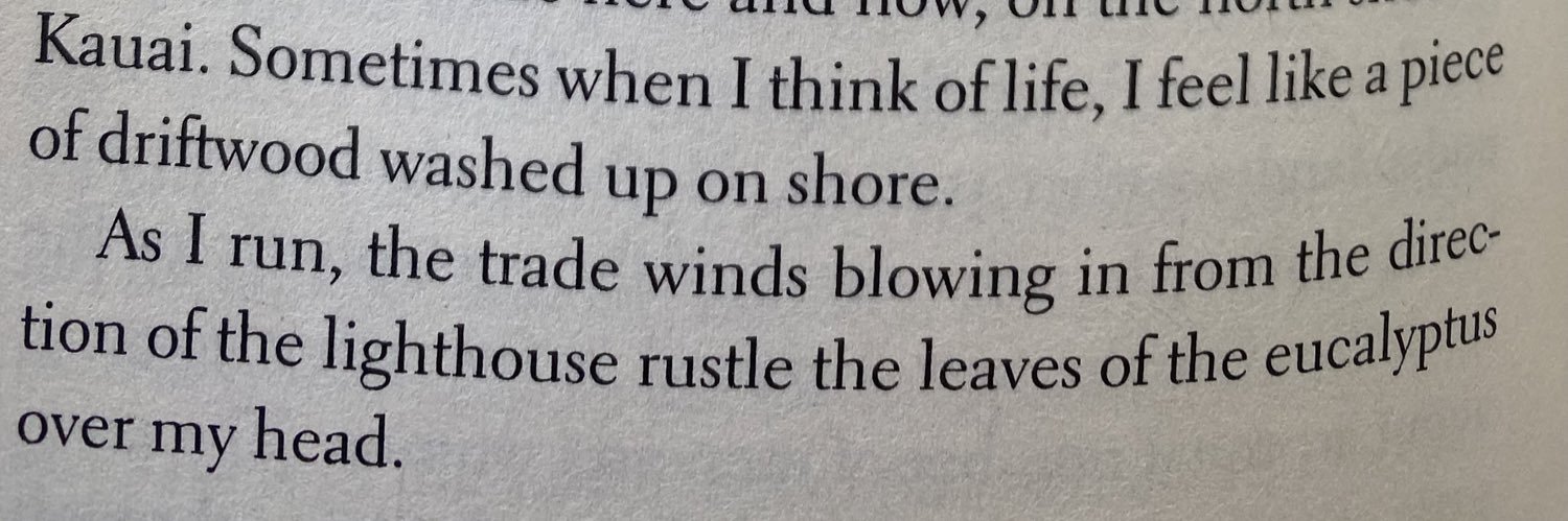 Daniel Vu Dao banner