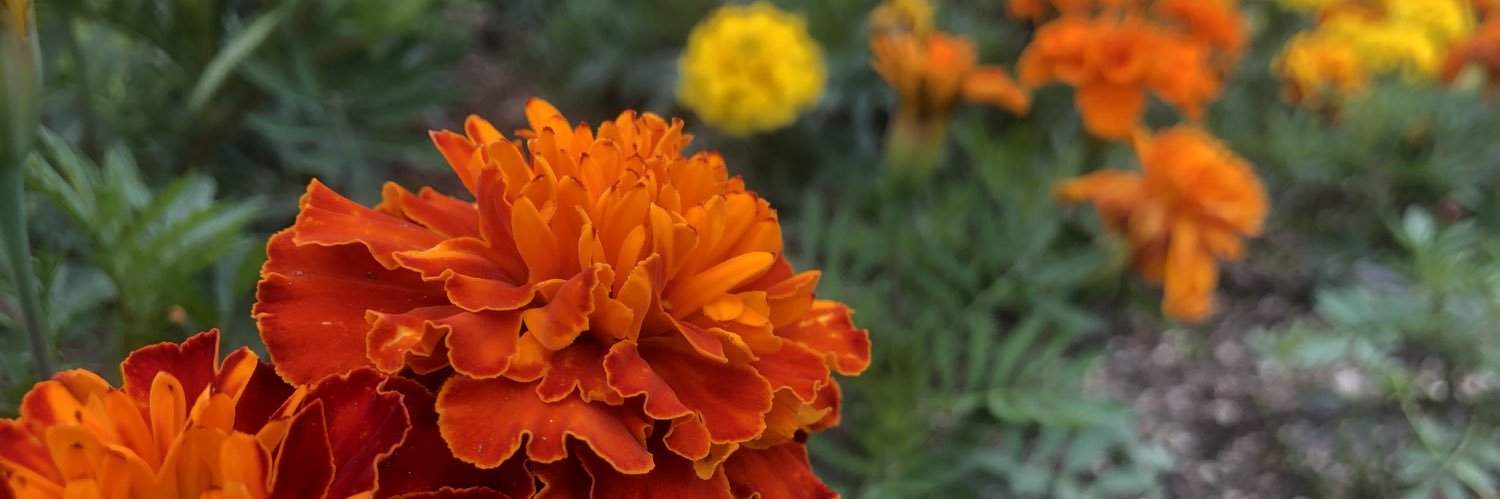 MRyj13's profile banner image