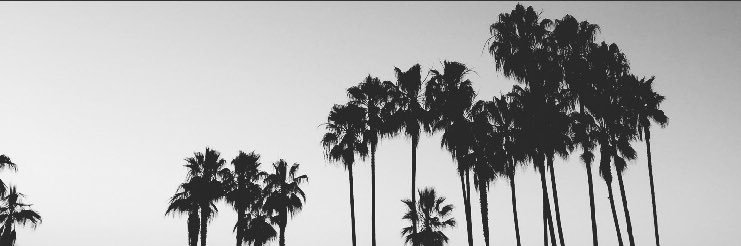elo_mf's profile banner image