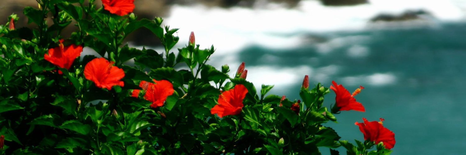 I1023H's profile banner image
