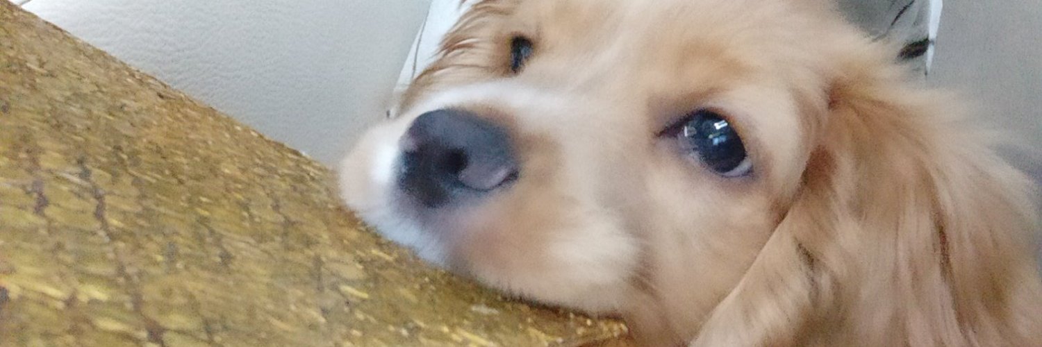 ggkcce's profile banner image