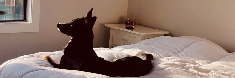 JesseyGoodman's profile banner image