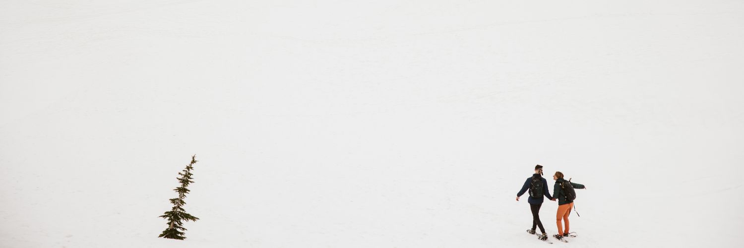 dchapsss's profile banner image